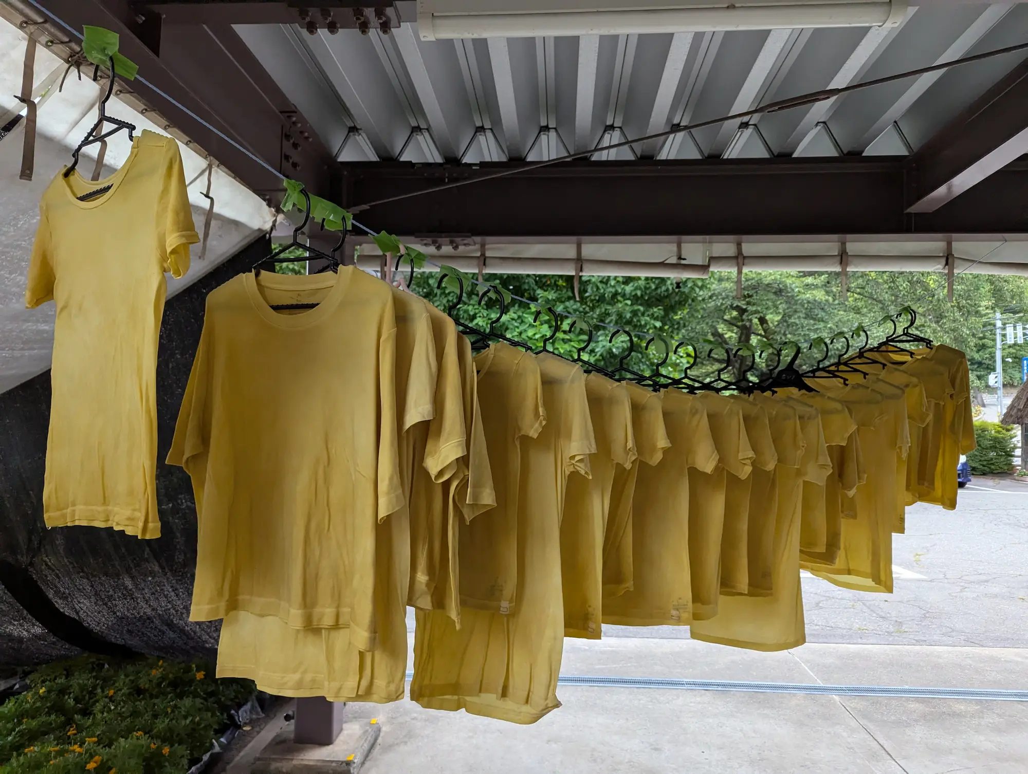 T-shirt (dyed with sunflowers, then printed with silkscreen and fabric pens)